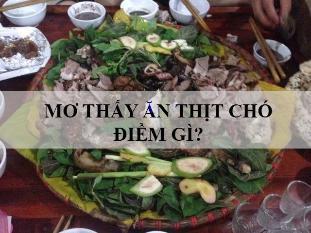 mơ thấy ăn thịt chó