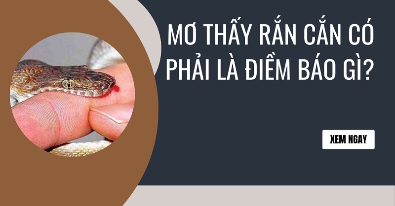 nằm mơ thấy rắn cắn vào chân